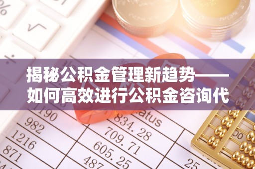 山东揭秘公积金管理新趋势——如何高效进行公积金咨询代办提取服务