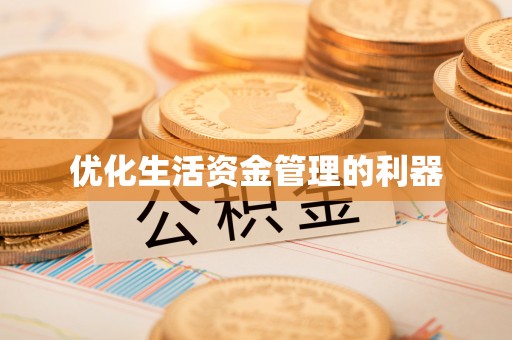 孝感优化生活资金管理的利器