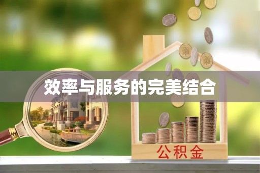 直宾效率与服务的完美结合