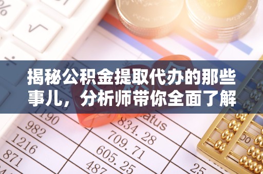 西藏揭秘公积金提取代办的那些事儿，分析师带你全面了解