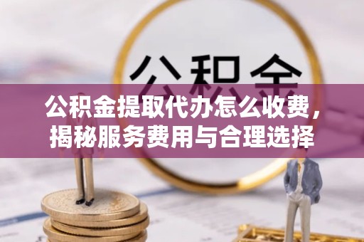 嘉兴公积金提取代办怎么收费，揭秘服务费用与合理选择