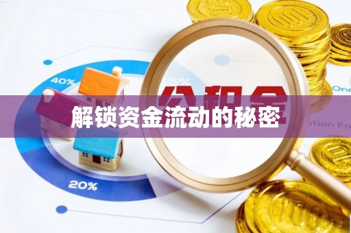乐山解锁资金流动的秘密