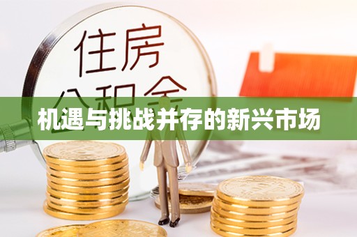 常州机遇与挑战并存的新兴市场