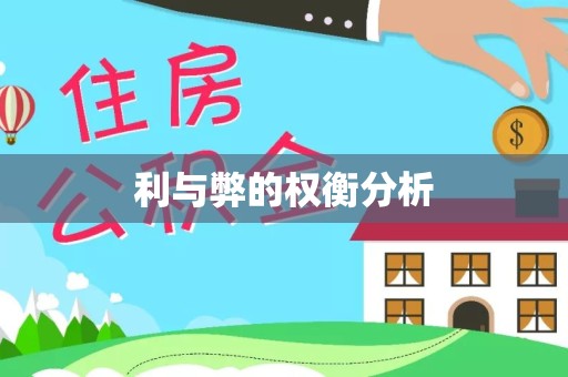 河南利与弊的权衡分析